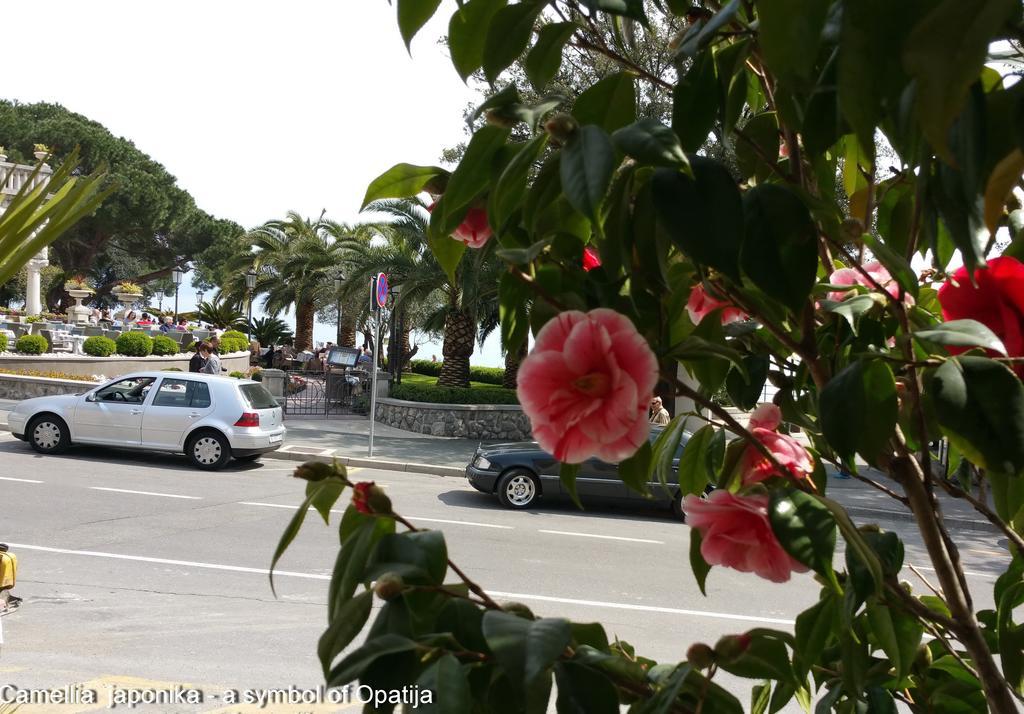 Apartment Kamelija Opatija Rom bilde